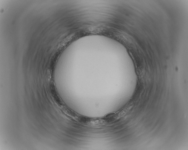 X0000070350752200607072038