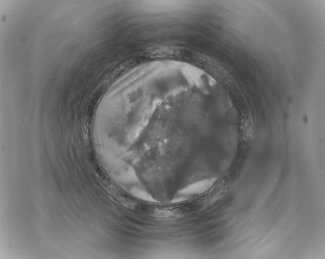 X0000070350753200607072038