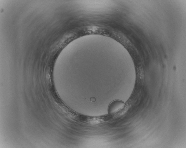 X0000070350754200607072038