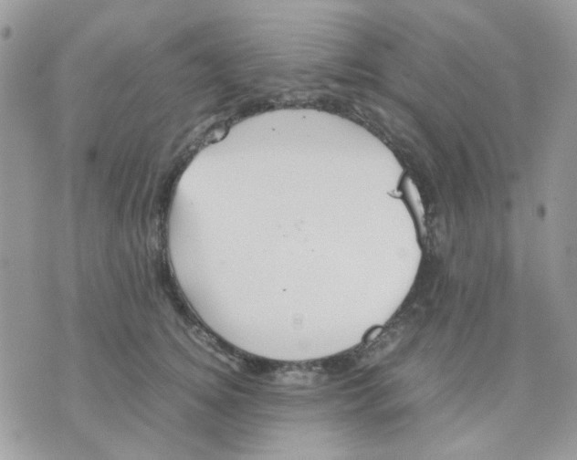 X0000070350756200607072038