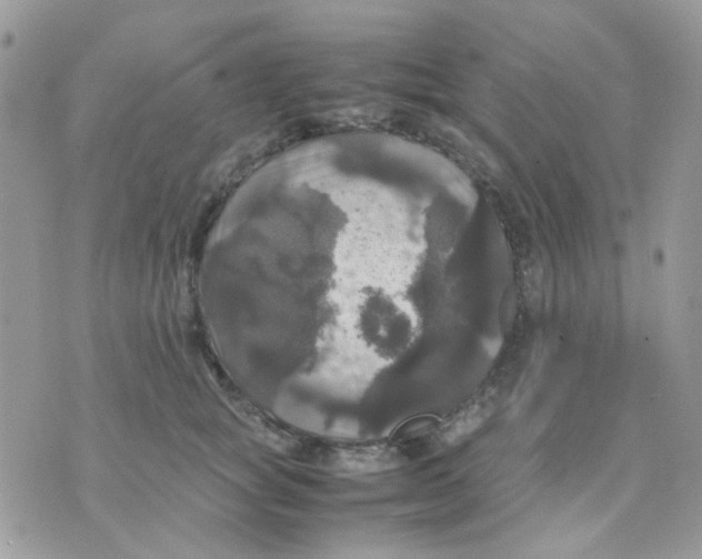 X0000070350757200607072038