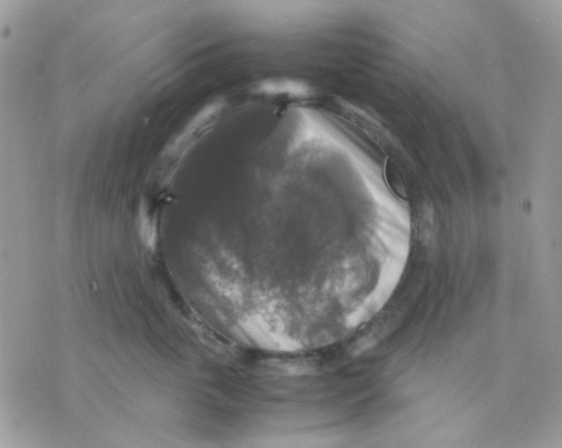 X0000070350763200607072038