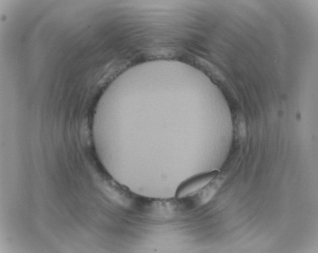 X0000070350764200607072038