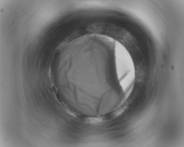 X0000070350765200607072038