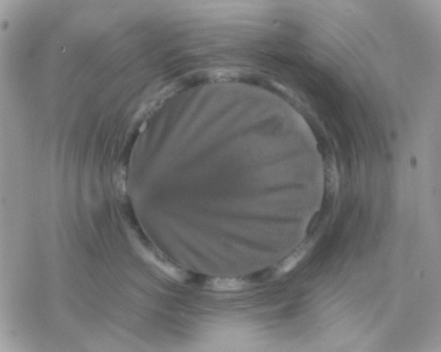 X0000070350766200607072038