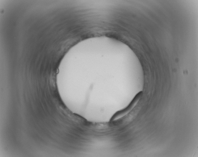 X0000070350768200607072038