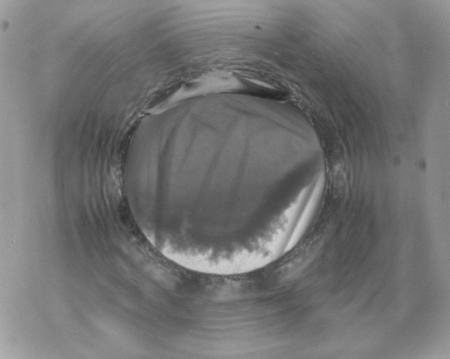 X0000070350772200607072037