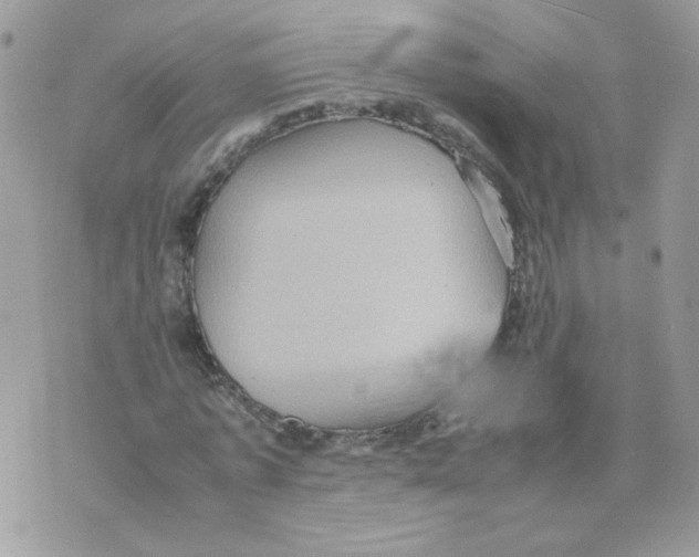 X0000070350773200607072037