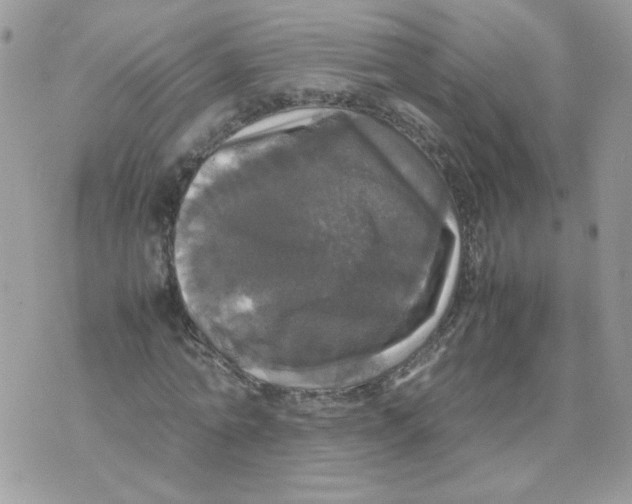 X0000070350774200607072037