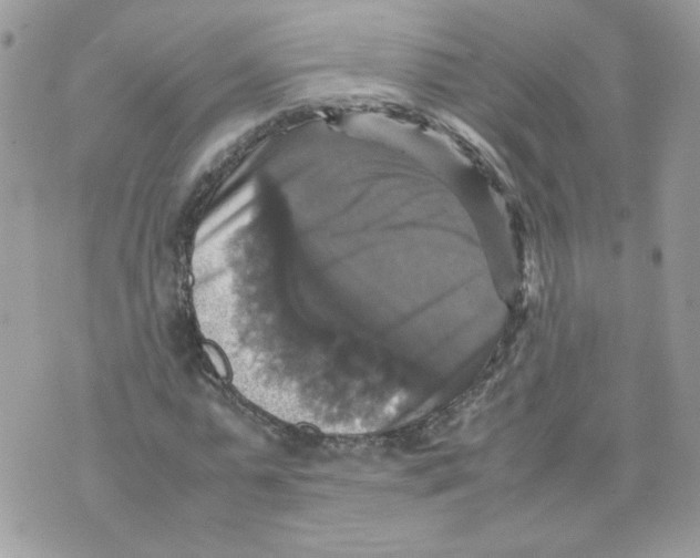 X0000070350775200607072037