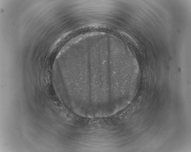 X0000070350776200607072037