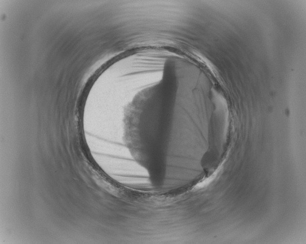 X0000070350779200607072037