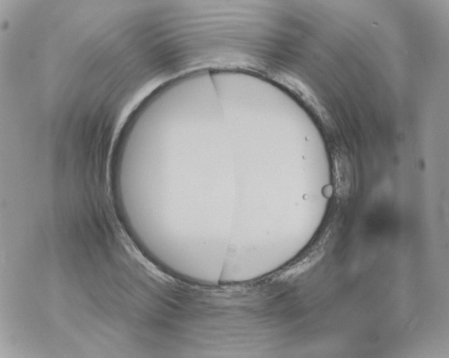 X0000070350780200607072037