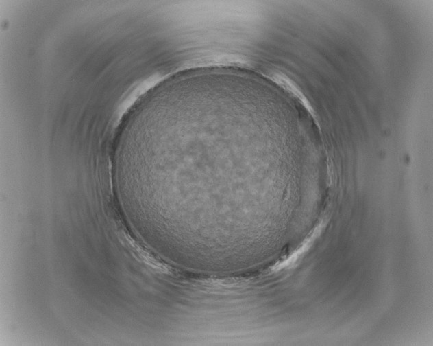 X0000070350781200607072037