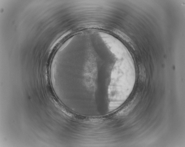 X0000070350782200607072037