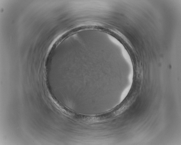 X0000070350783200607072037