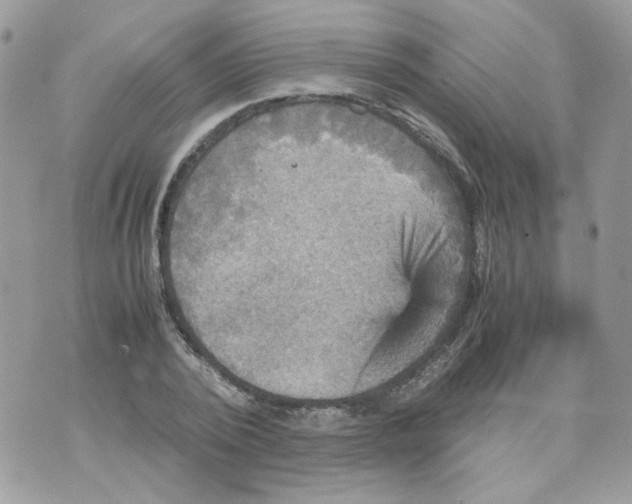 X0000070350784200607072037