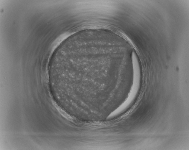 X0000070350787200607072037