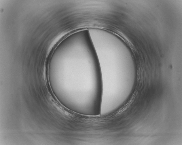 X0000070350788200607072037