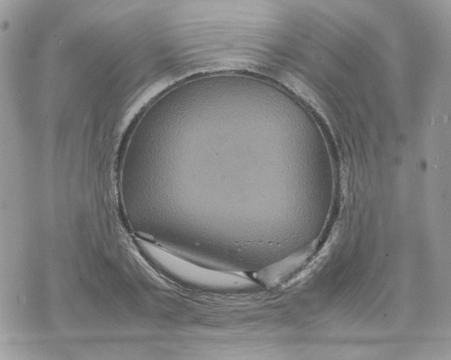 X0000070350789200607072037