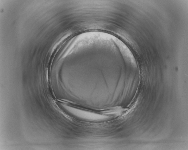 X0000070350790200607072037