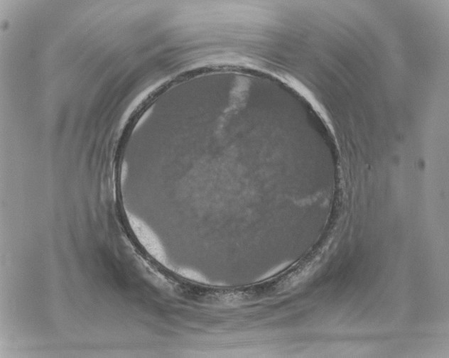 X0000070350791200607072037