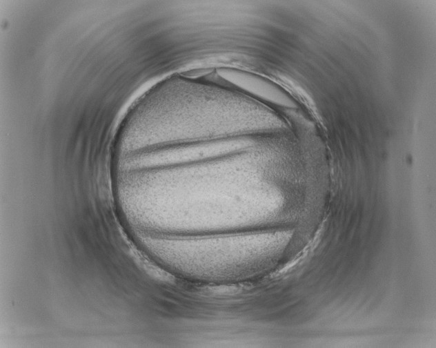 X0000070350792200607072037