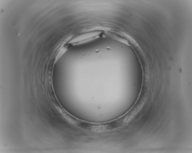 X0000070350793200607072037