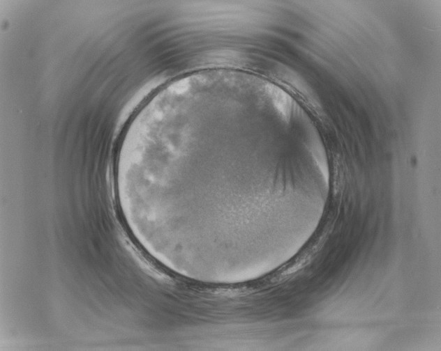 X0000070350796200607072037