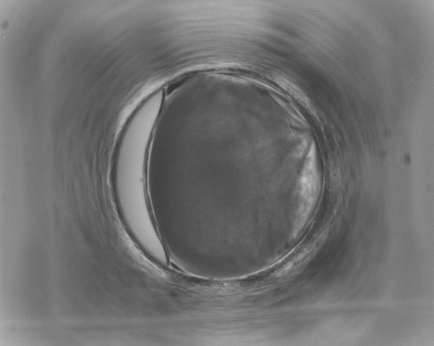 X0000070350797200607072037