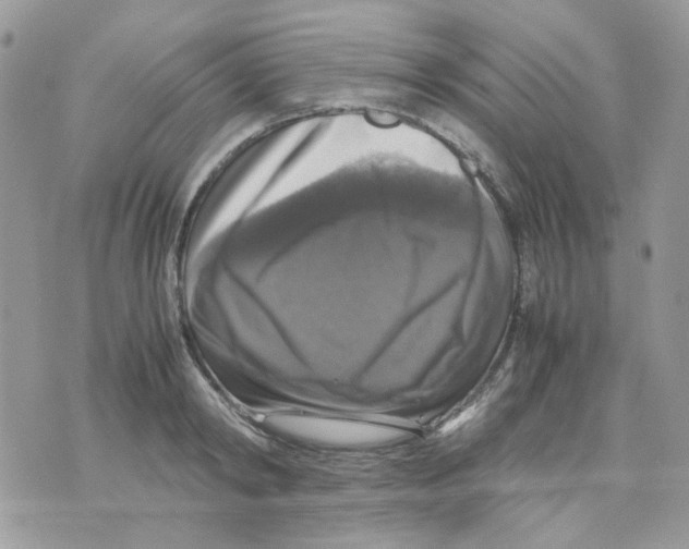 X0000070350798200607072037