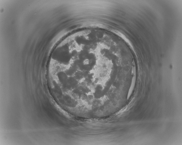 X0000070350799200607072037