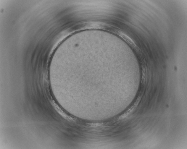 X0000070350800200607072037