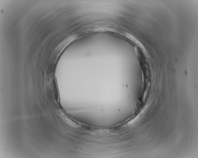 X0000070350801200607072037