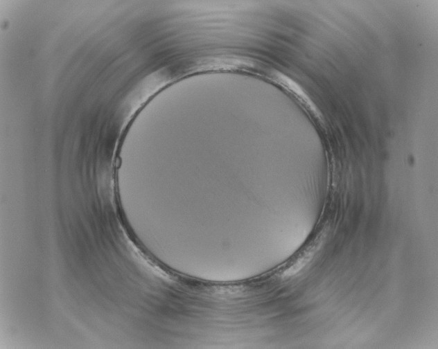 X0000070350802200607072037