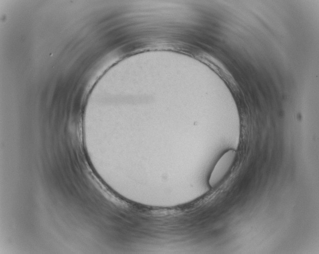 X0000070350804200607072037