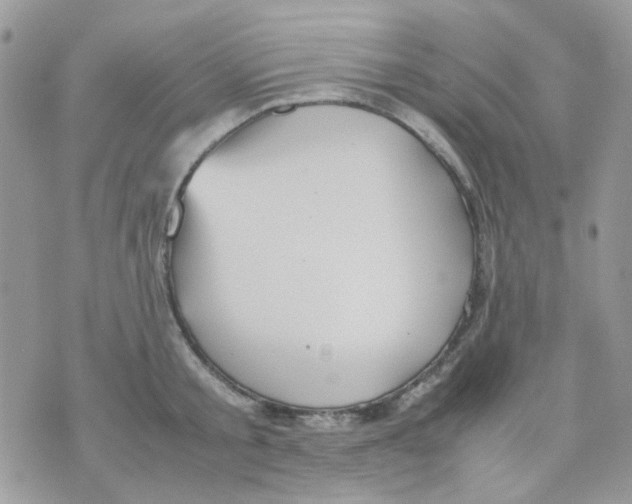 X0000070350805200607072037