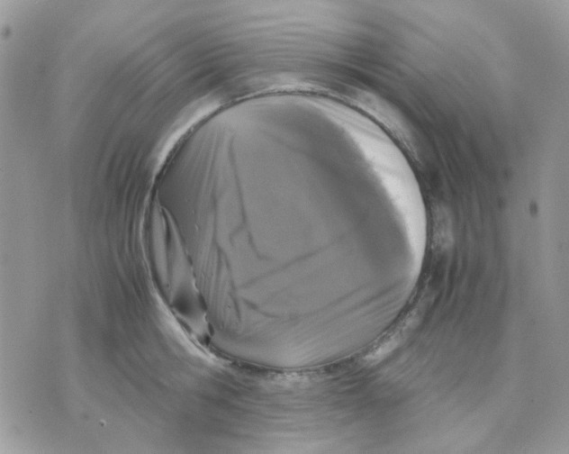 X0000070350806200607072037