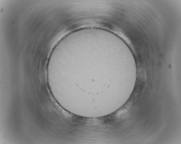 X0000070350807200607072037