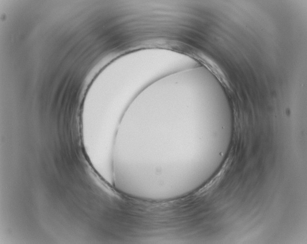 X0000070350808200607072037