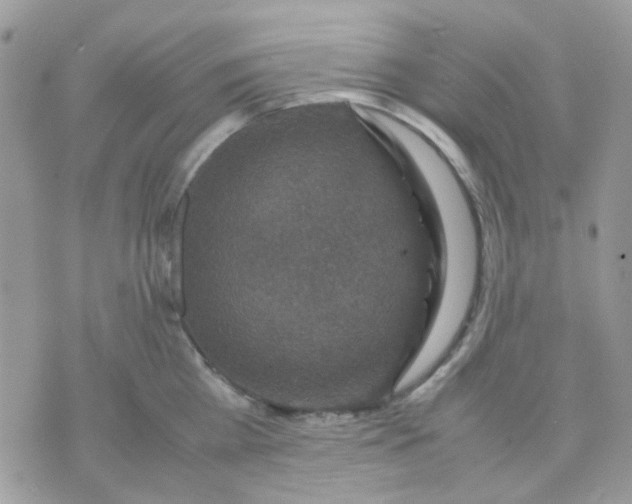 X0000070350809200607072037