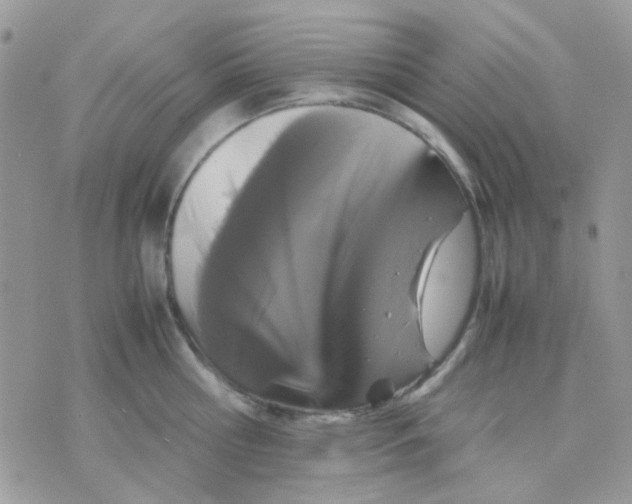 X0000070350810200607072037