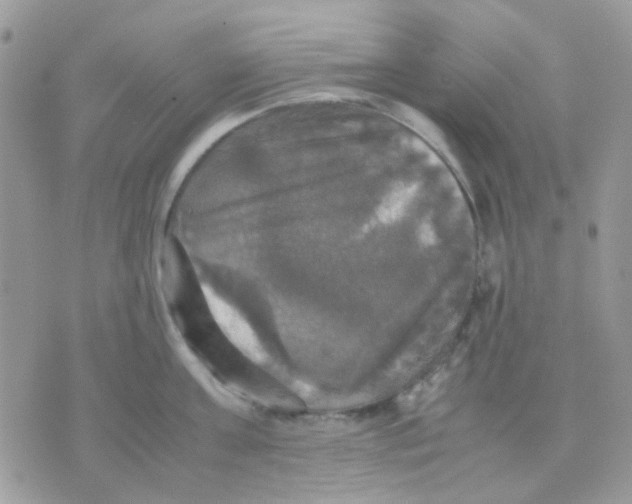 X0000070350811200607072037