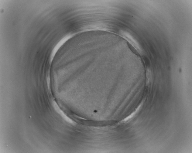 X0000070350812200607072037