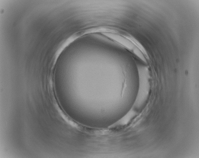 X0000070350813200607072037