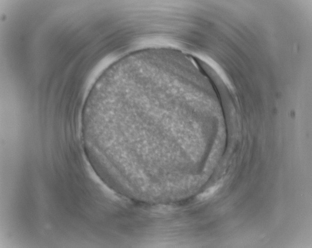 X0000070350815200607072036