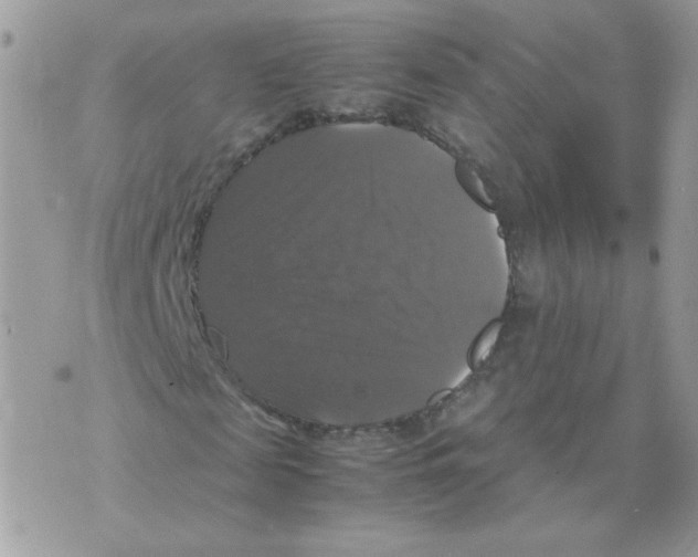 X0000070350817200607072036