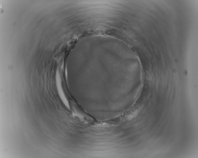 X0000070350818200607072036