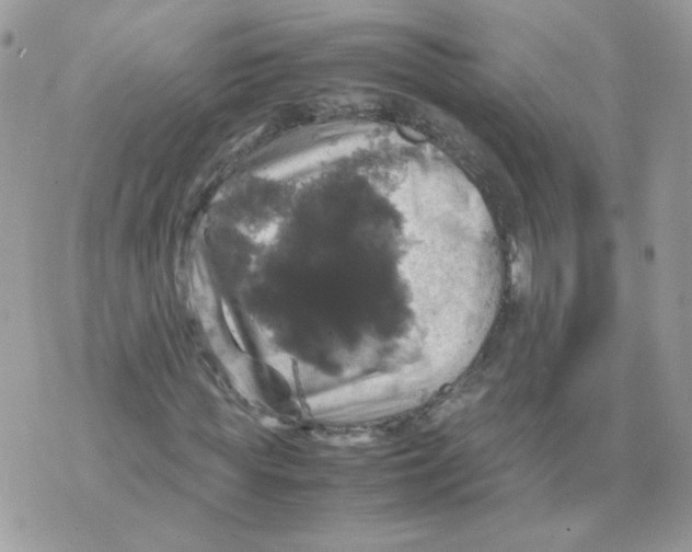 X0000070350819200607072036