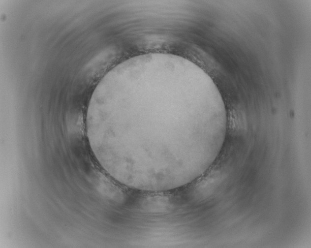 X0000070350820200607072036